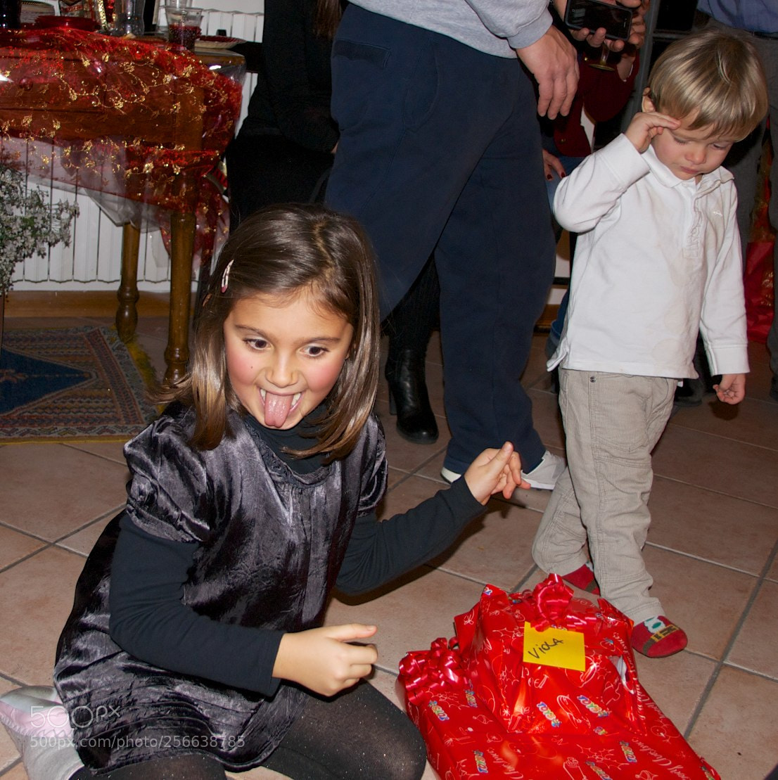 Nikon D60 sample photo. 24-12-2012 photography