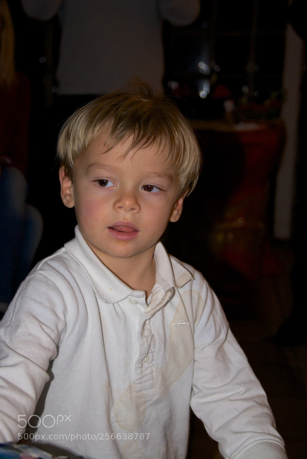 Nikon D60 sample photo. 24-12-2012 photography