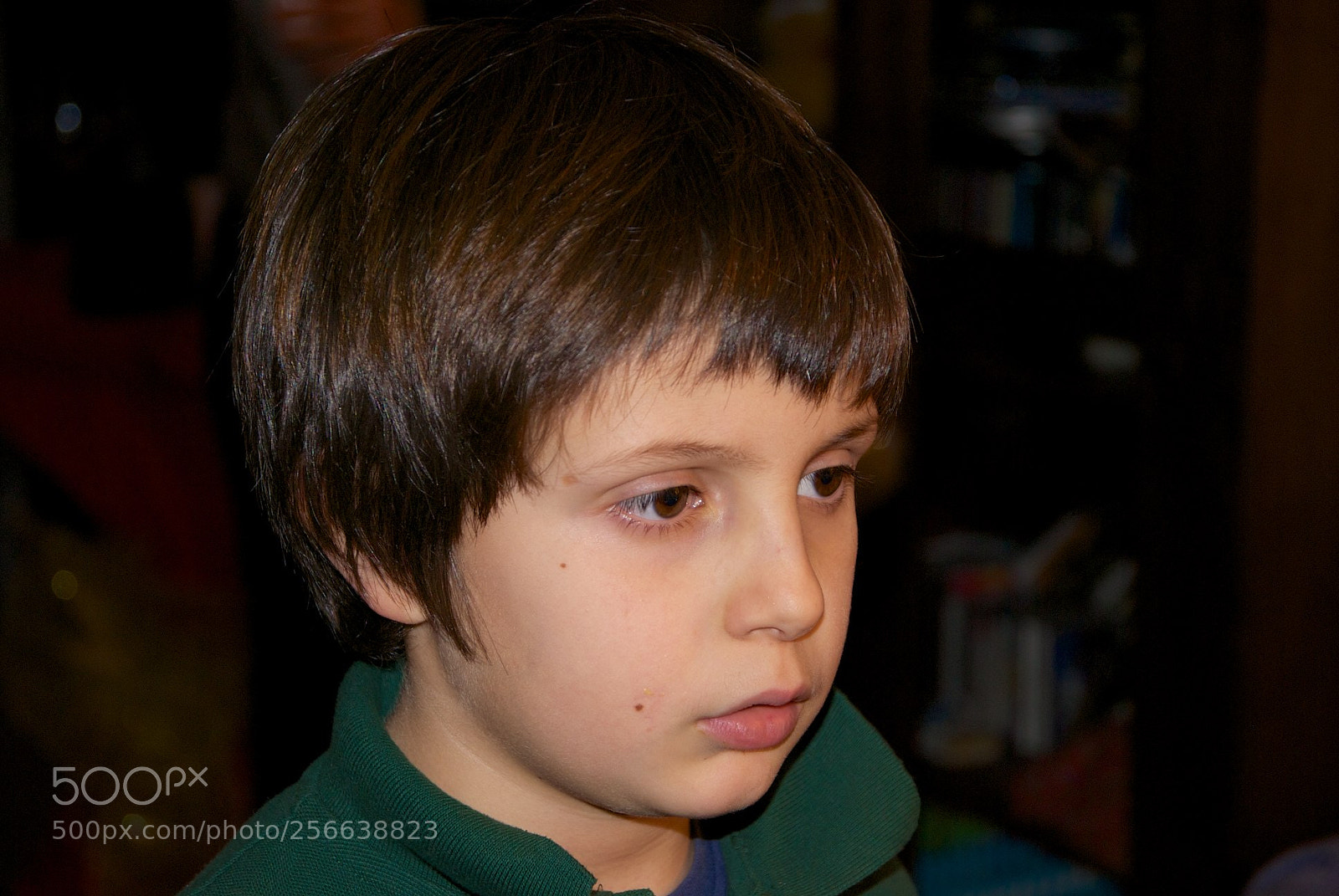 Nikon D60 sample photo. 24-12-2012 photography