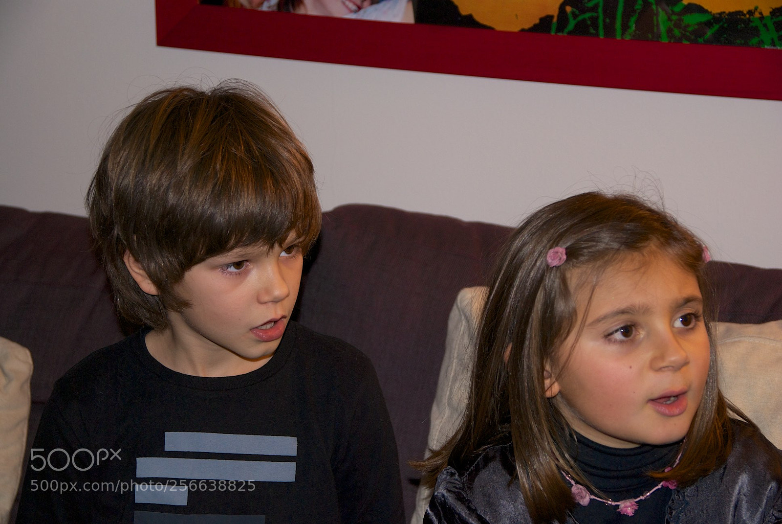 Nikon D60 sample photo. 24-12-2012 photography