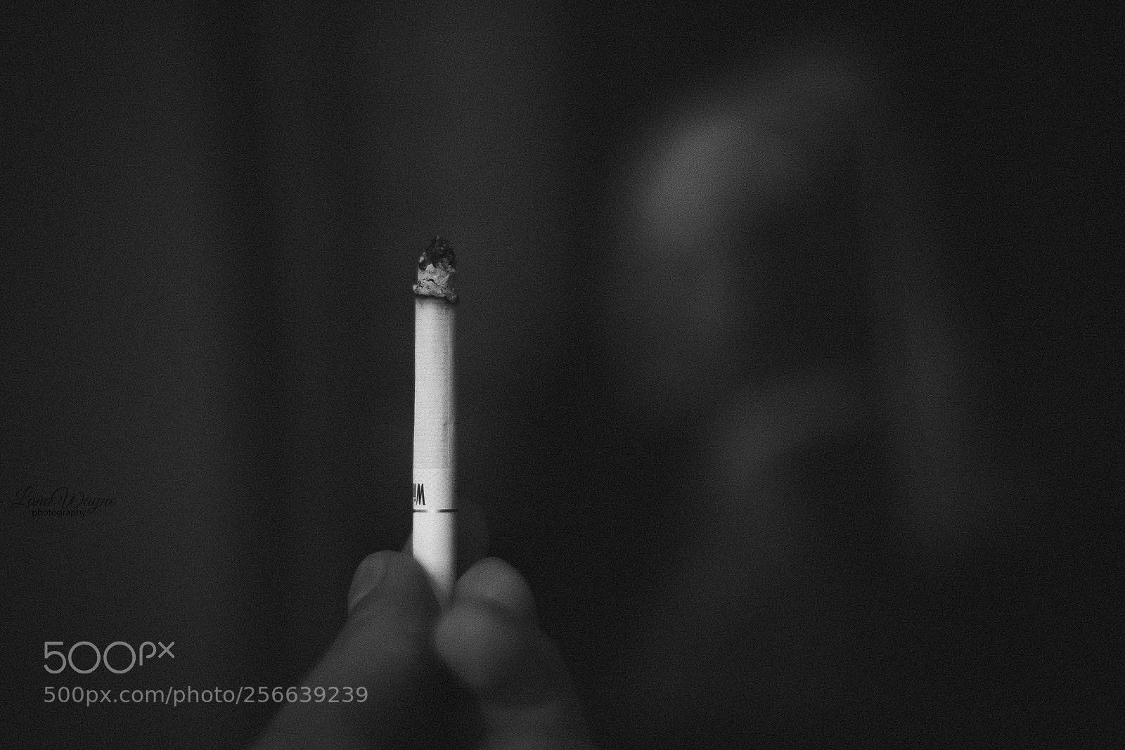 Canon EOS 7D Mark II sample photo. Black and white photography