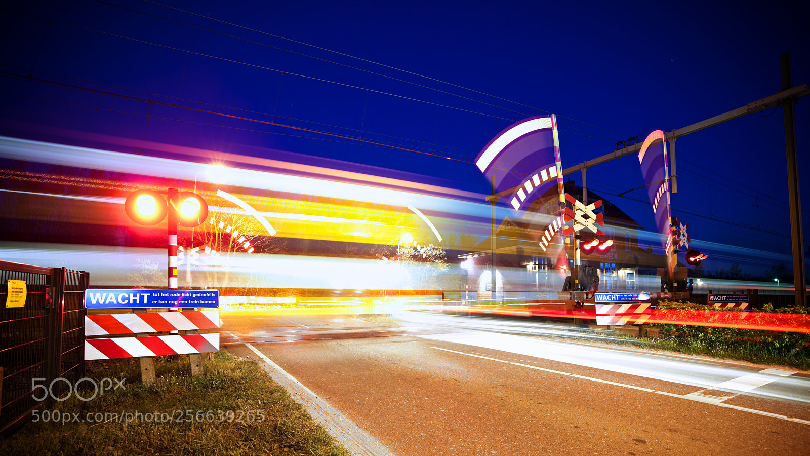 Sony a7 II sample photo. Crazy cross-road photography