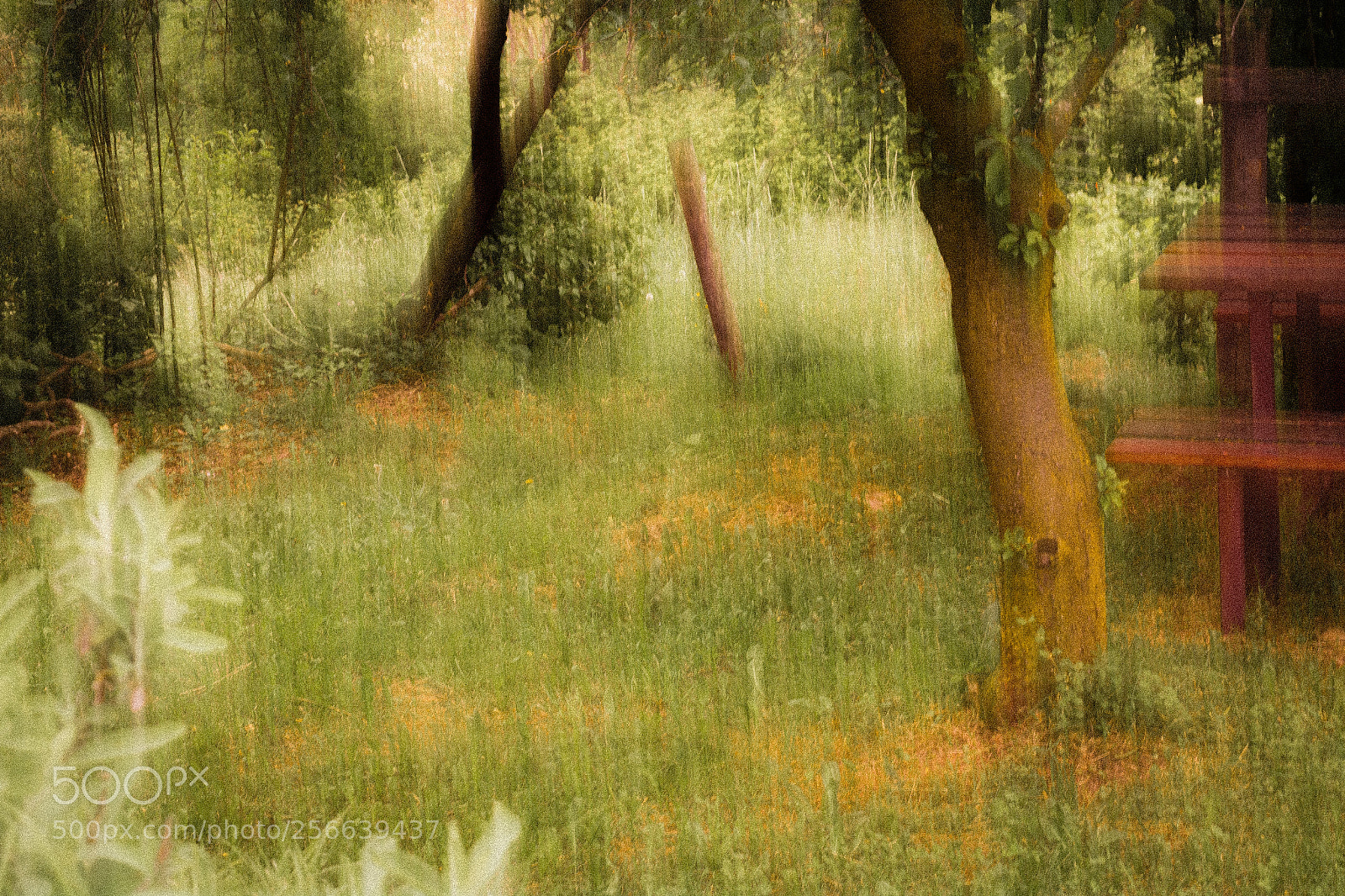 Canon EOS 6D sample photo. Icm spring landscape photography
