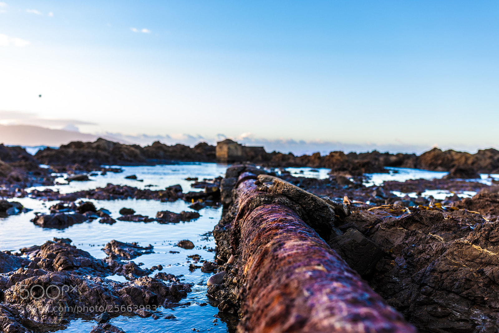 Canon EOS 5D Mark IV sample photo. Sea pipe photography