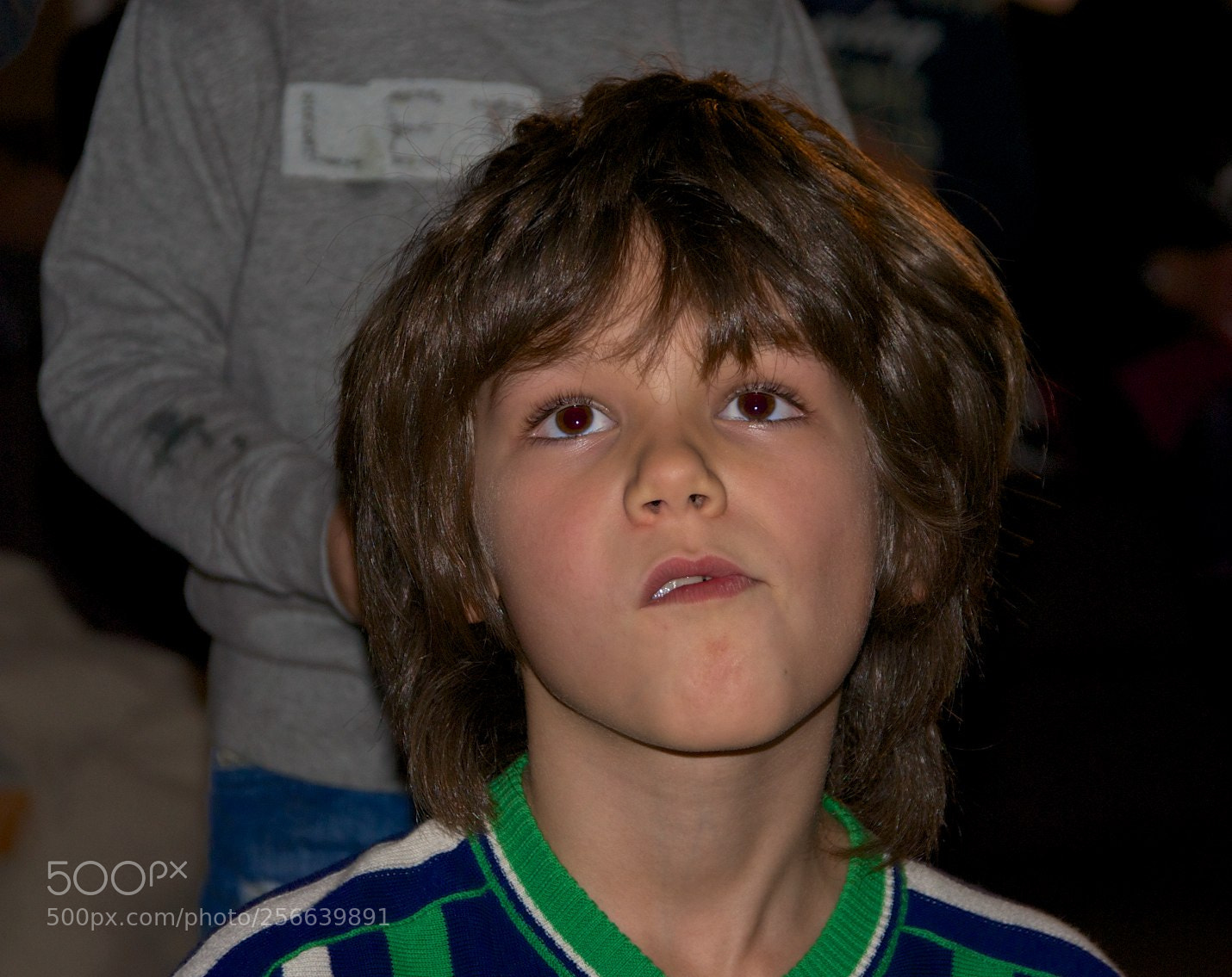 Nikon D60 sample photo. Version photography
