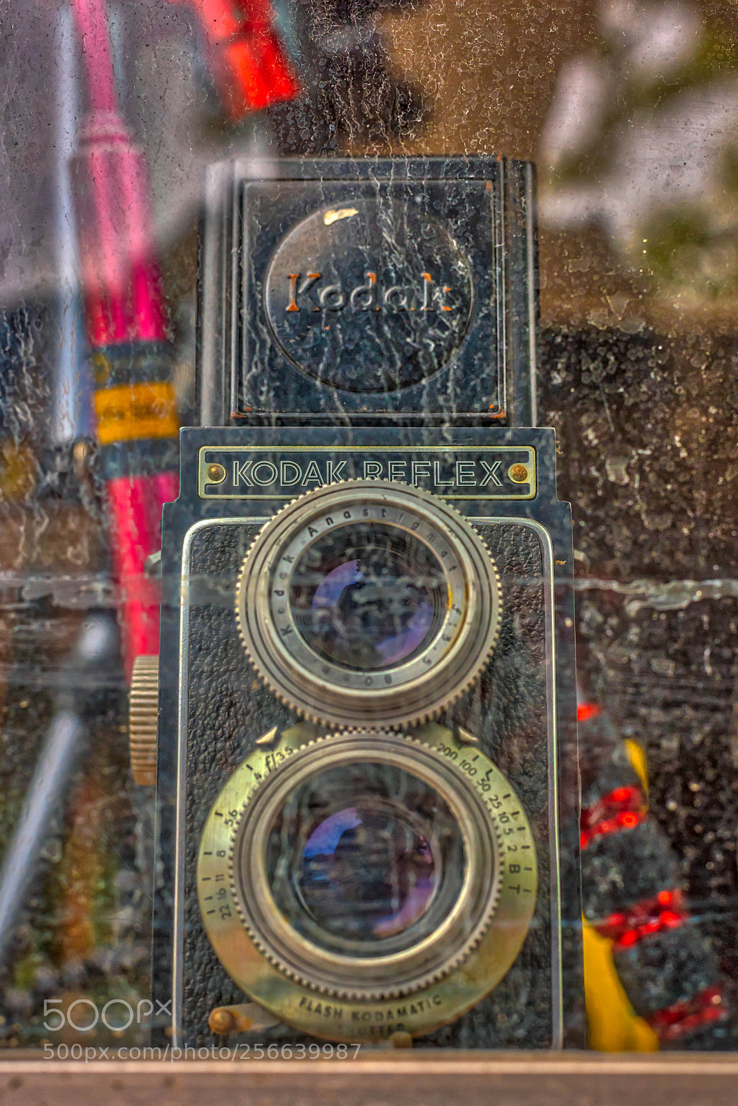 Nikon D810 sample photo. Self-portrait photography