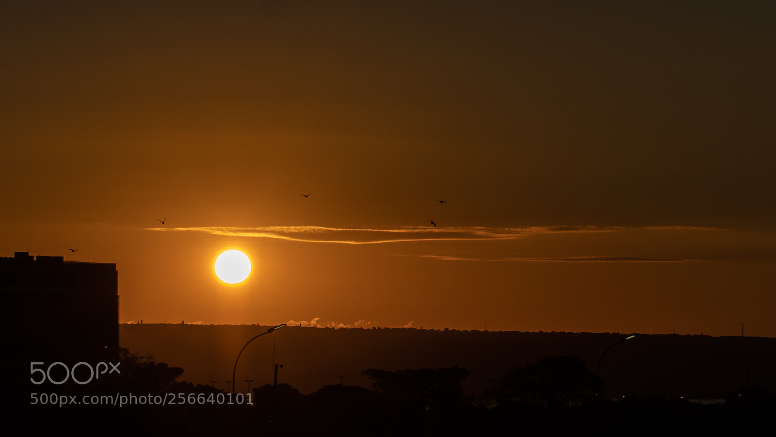 Sony a6300 sample photo. Orange sky photography