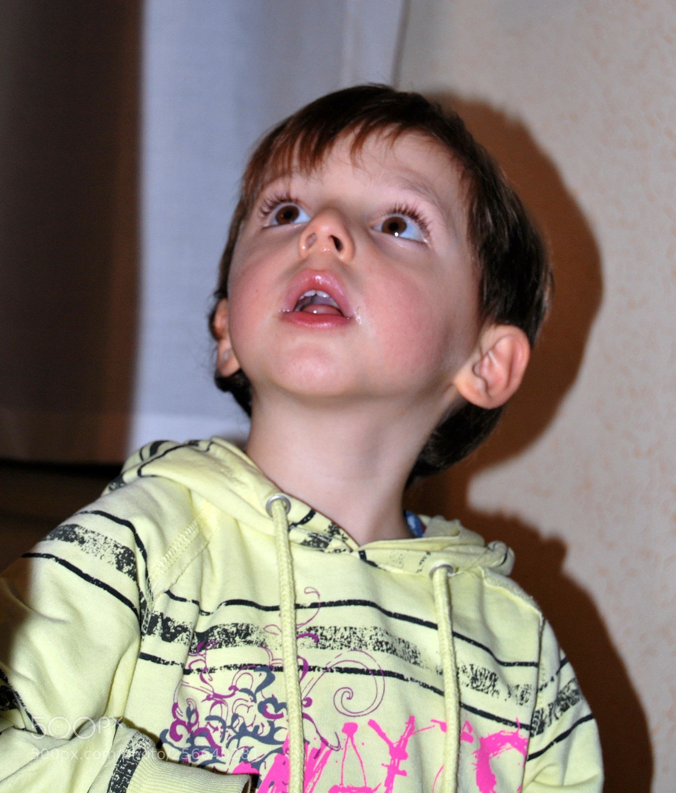 Nikon D60 sample photo. Dsc photography
