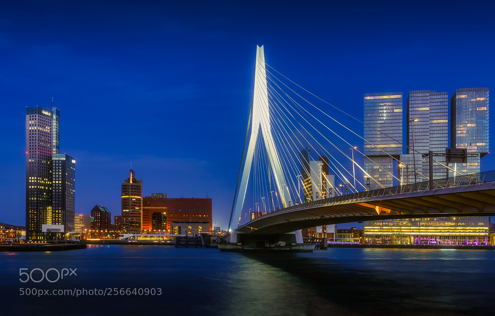 Sony a7R II sample photo. Erasmusbrug rotterdam photography