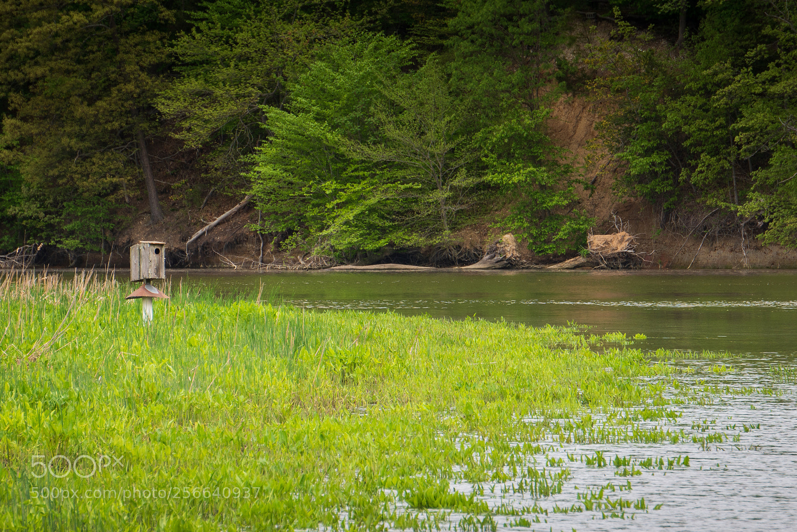 Sony a7R III sample photo. Waterfront home photography