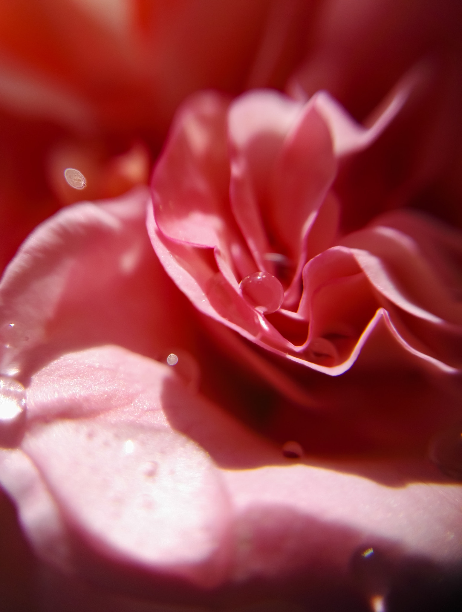 HUAWEI Honor 7 sample photo