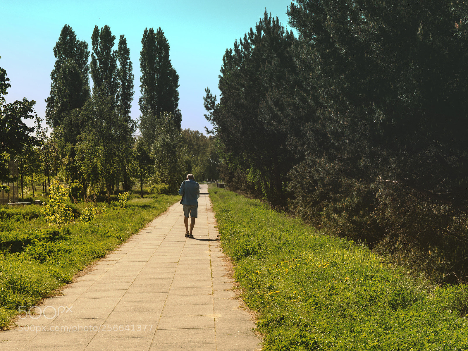 Sony a7 sample photo. Mai in adlershof photography
