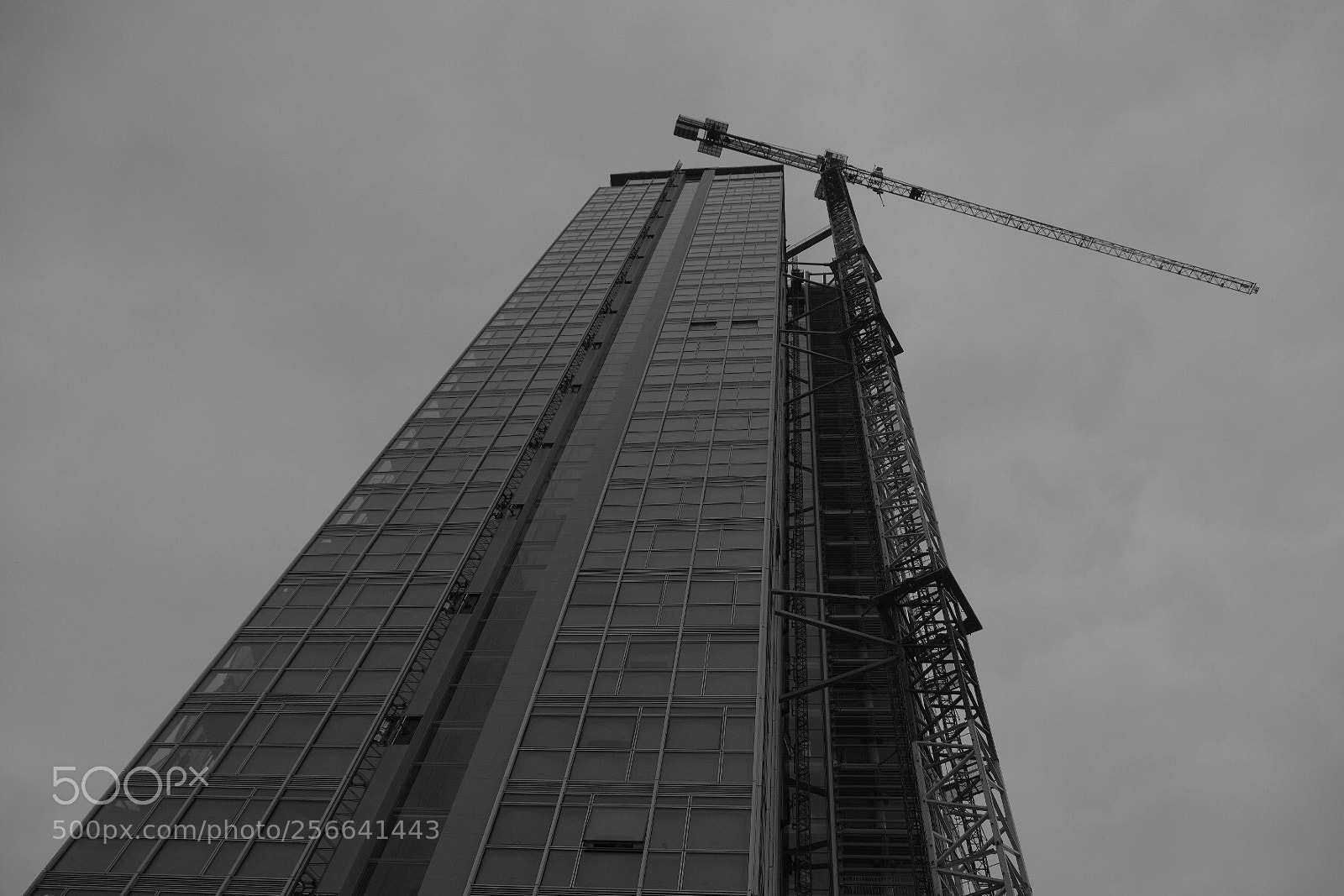 Fujifilm X-T2 sample photo. Untitled photography