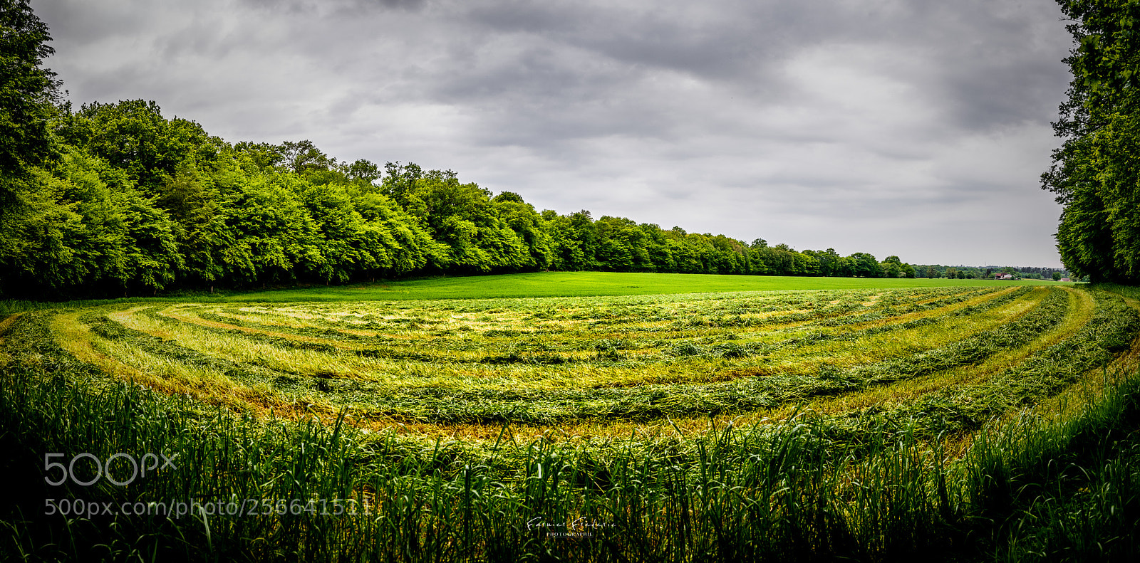 Nikon D750 sample photo. Field work panorama photography