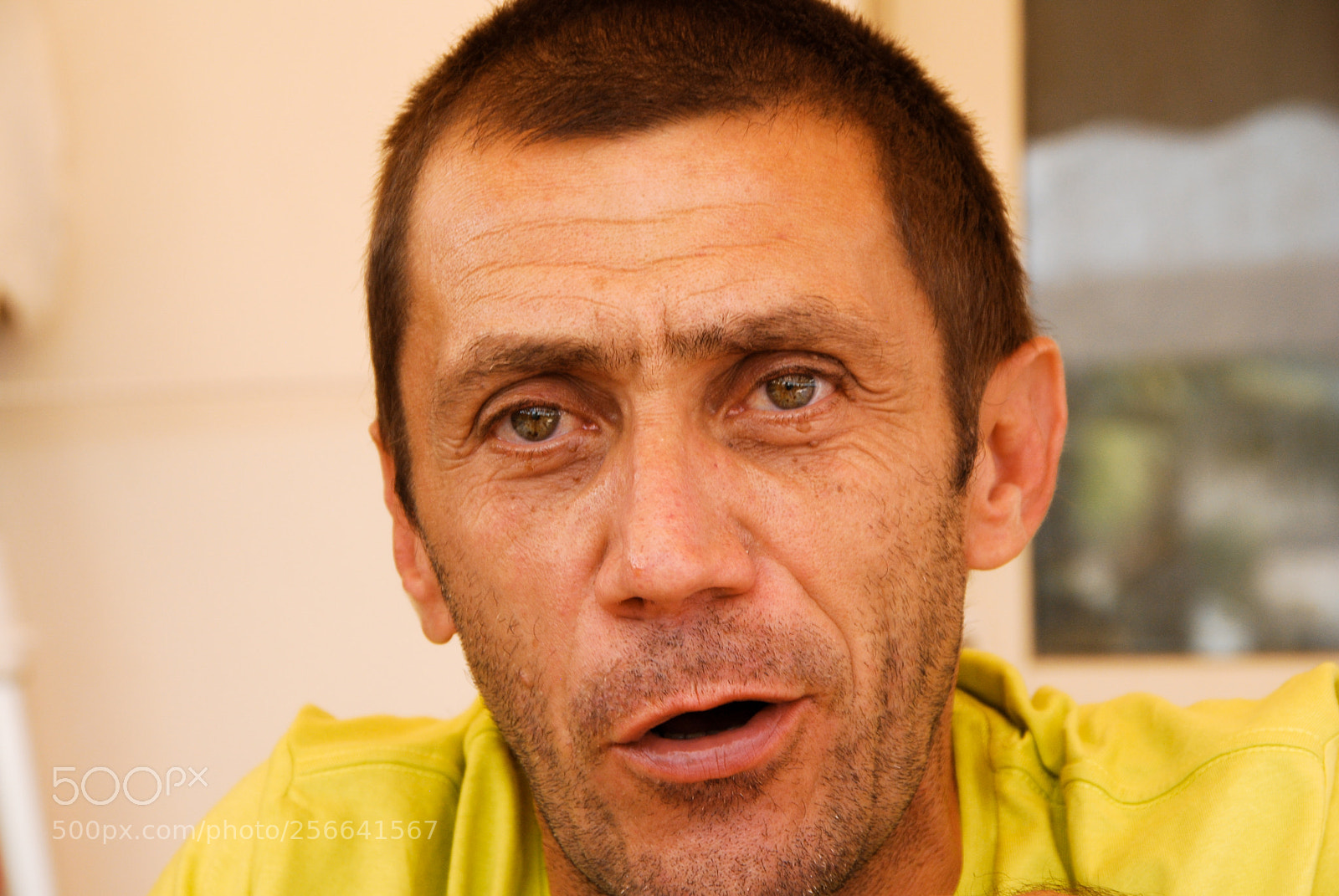 Nikon D60 sample photo. 50 sfumature di rossi photography