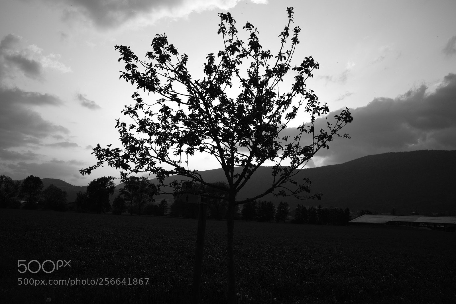 Fujifilm X-E3 sample photo. Sunset photography