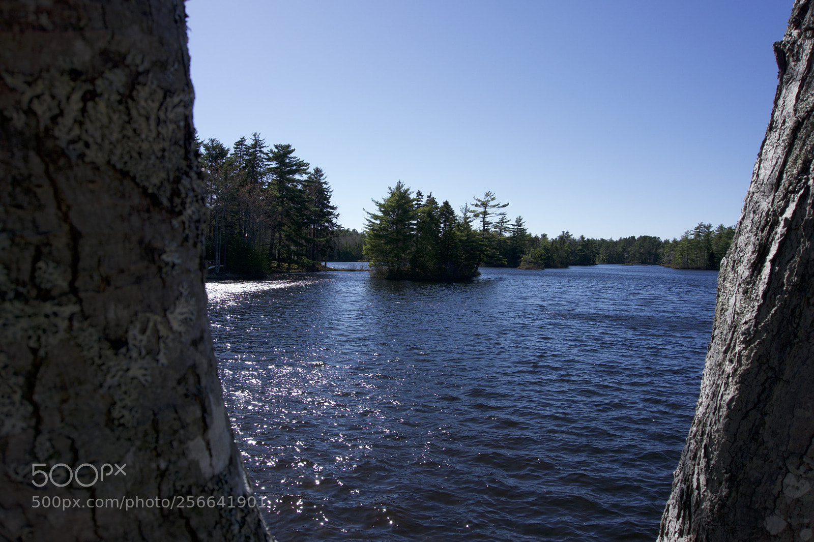 Sony a6000 sample photo. Papermill lake photography