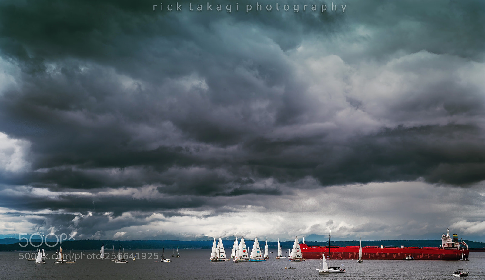 Nikon D5 sample photo. Stormy day on puget photography