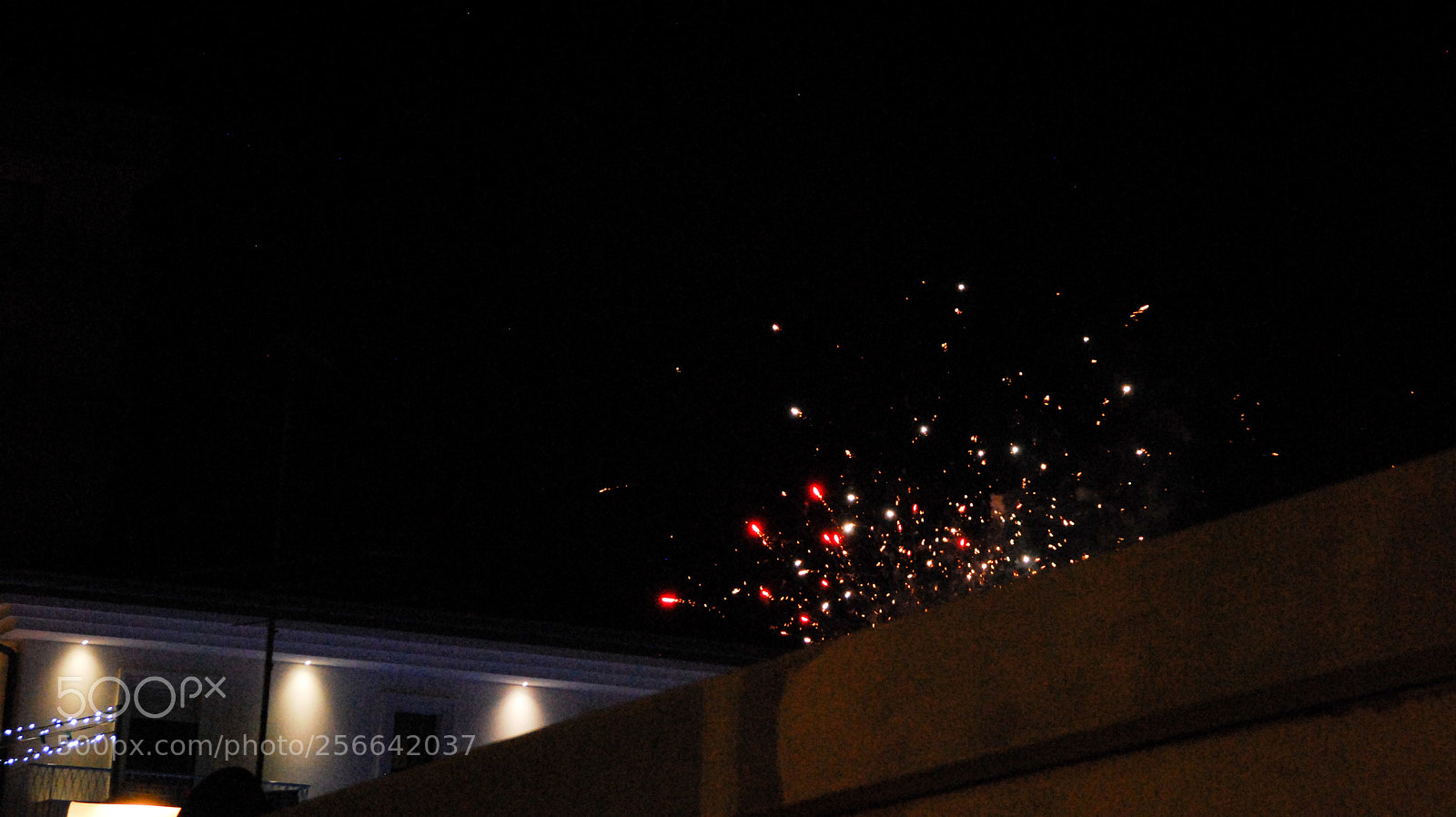 Nikon D60 sample photo. 50 sfumature di rossi photography