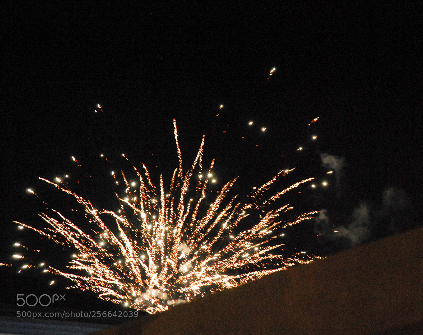 Nikon D60 sample photo. 50 sfumature di rossi photography