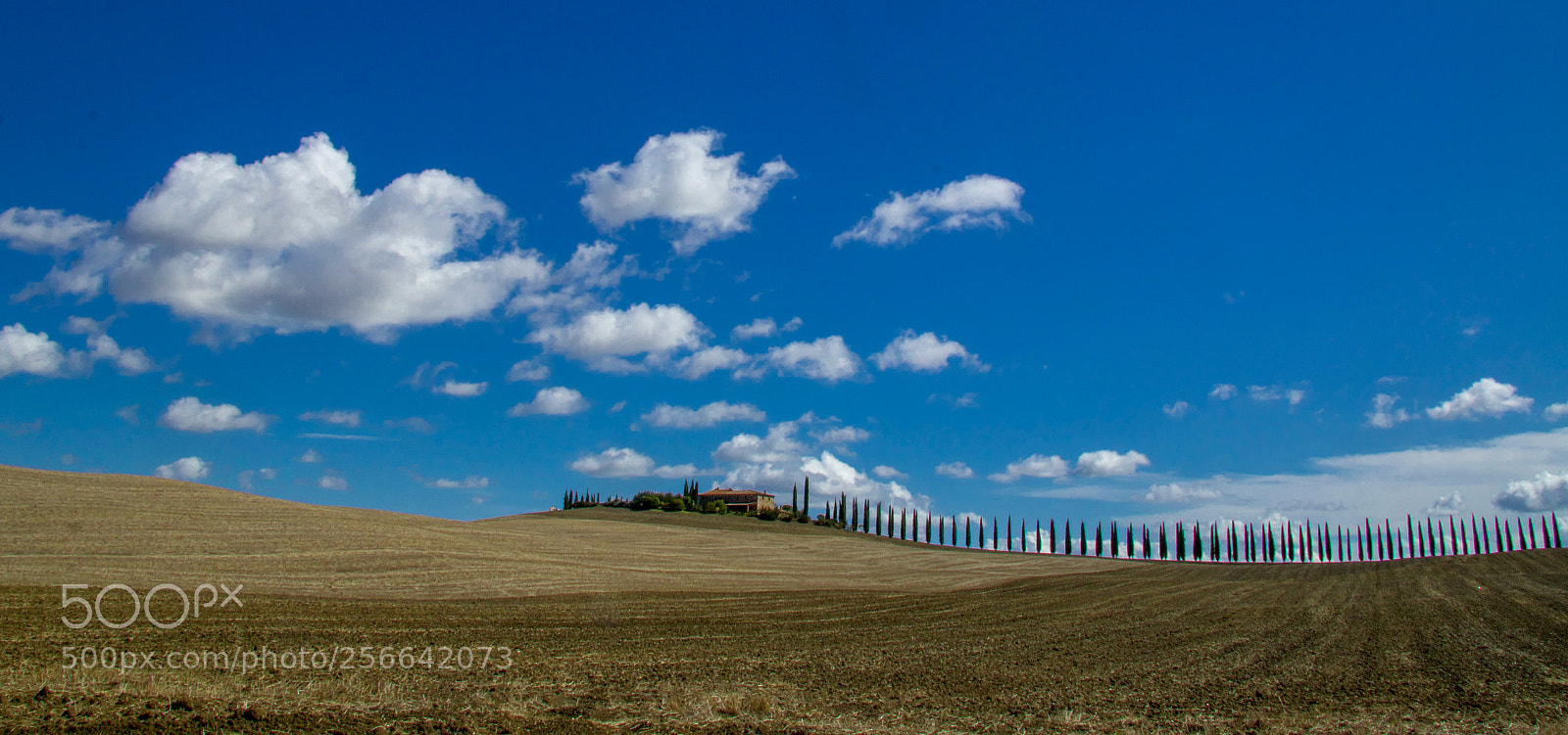 Canon EOS 70D sample photo. Val d'orcia photography