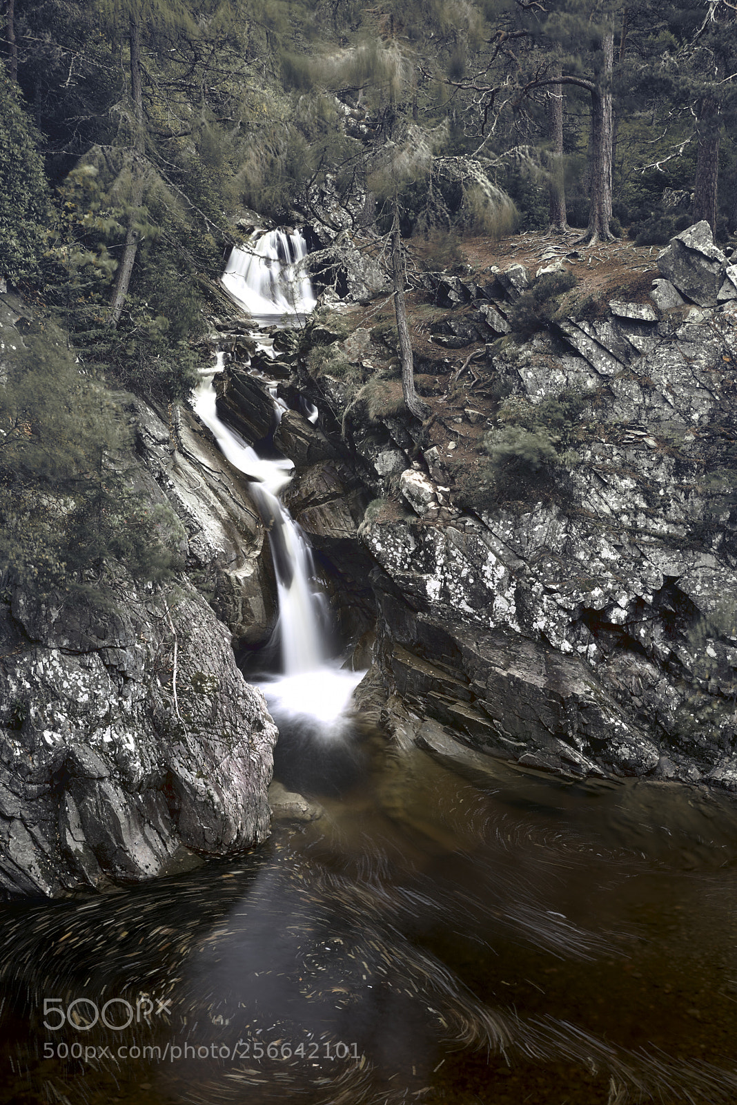 Canon EOS 6D sample photo. Dark forest waterfall photography