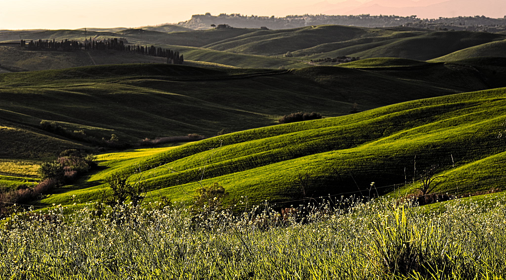 Manual Lens No CPU sample photo. Tuscany photography