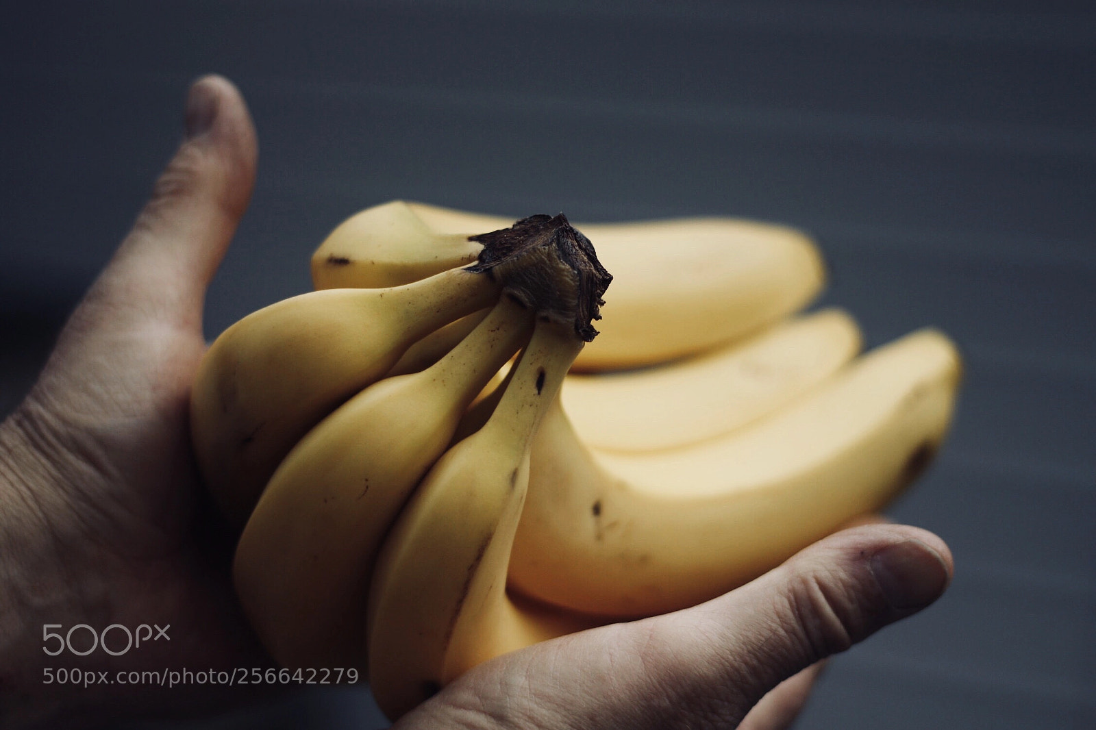 Canon EOS 450D (EOS Rebel XSi / EOS Kiss X2) sample photo. Banana man photography