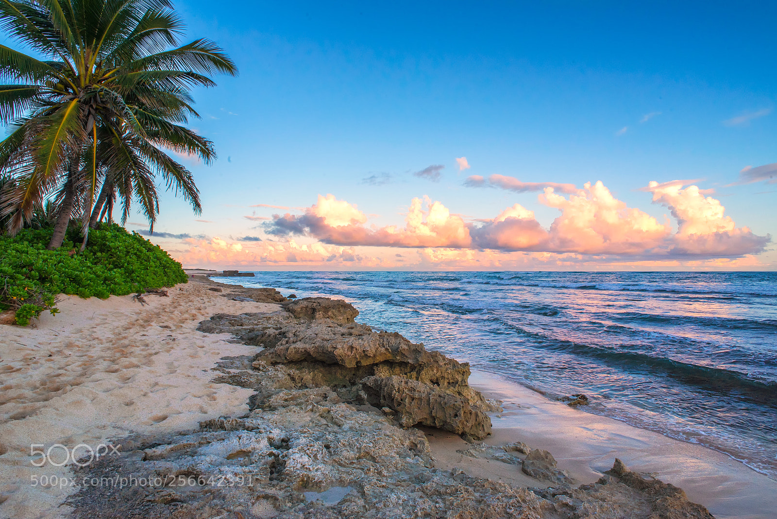 Nikon D800 sample photo. Honolulu sunset photography