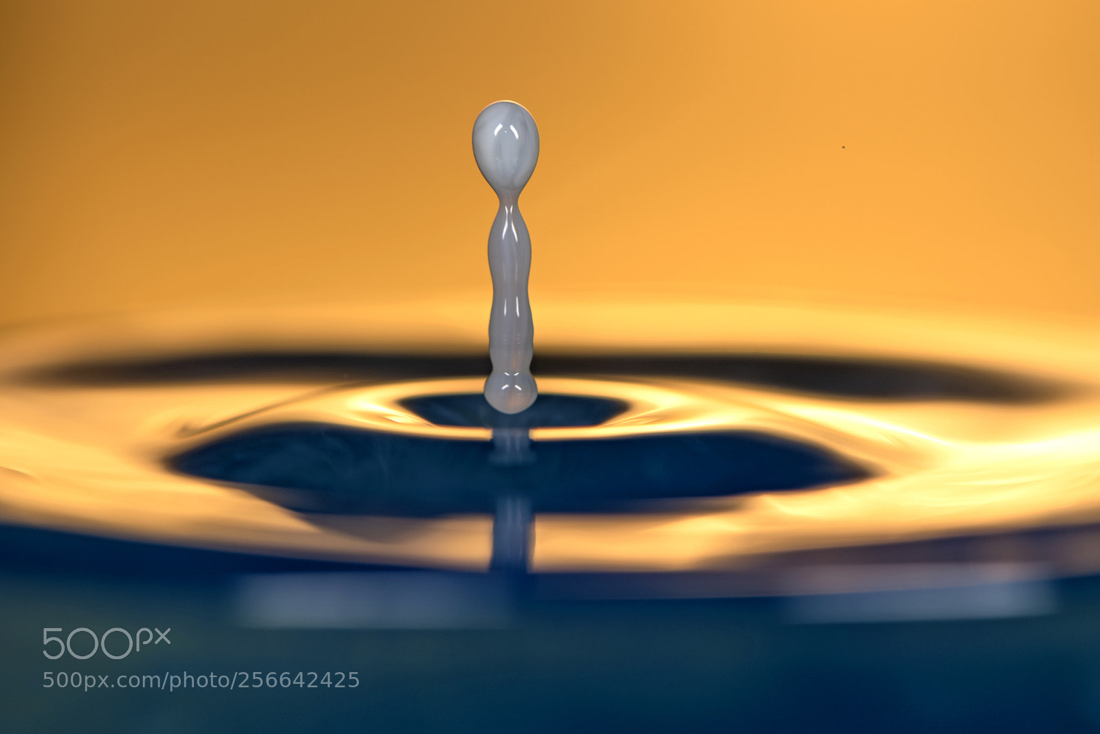 Nikon D810 sample photo. Milk drop on water. photography