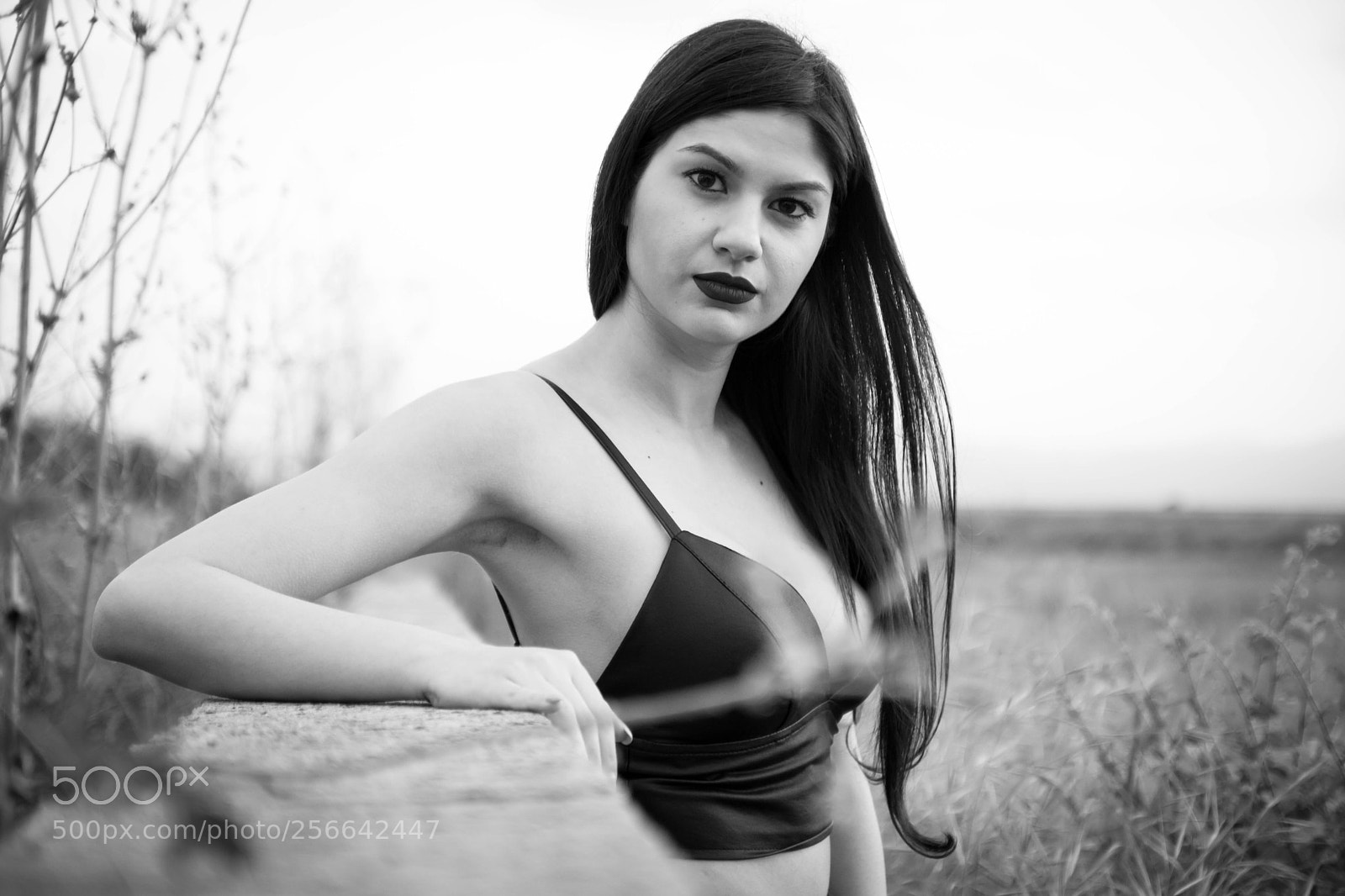 Canon EOS 80D sample photo. Giwta photography