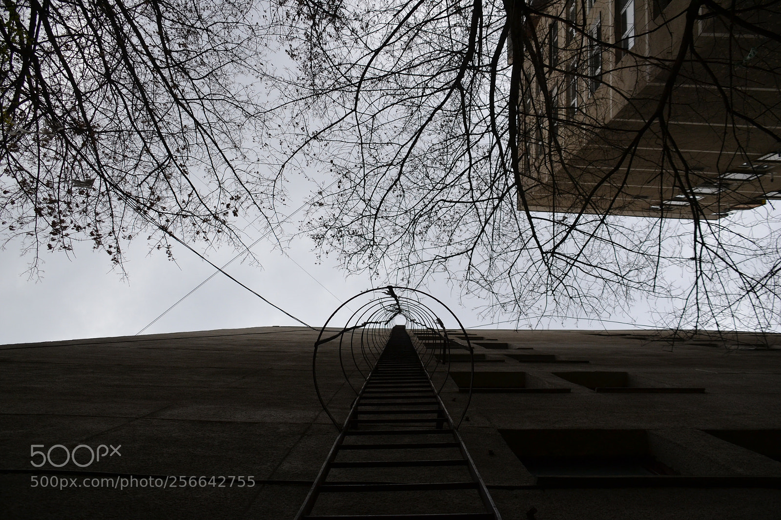 Nikon D3100 sample photo. Stair photography