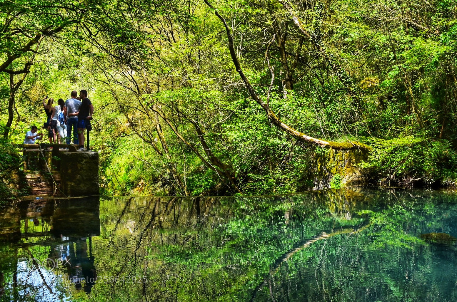 Nikon D5500 sample photo. Peacful nature photography