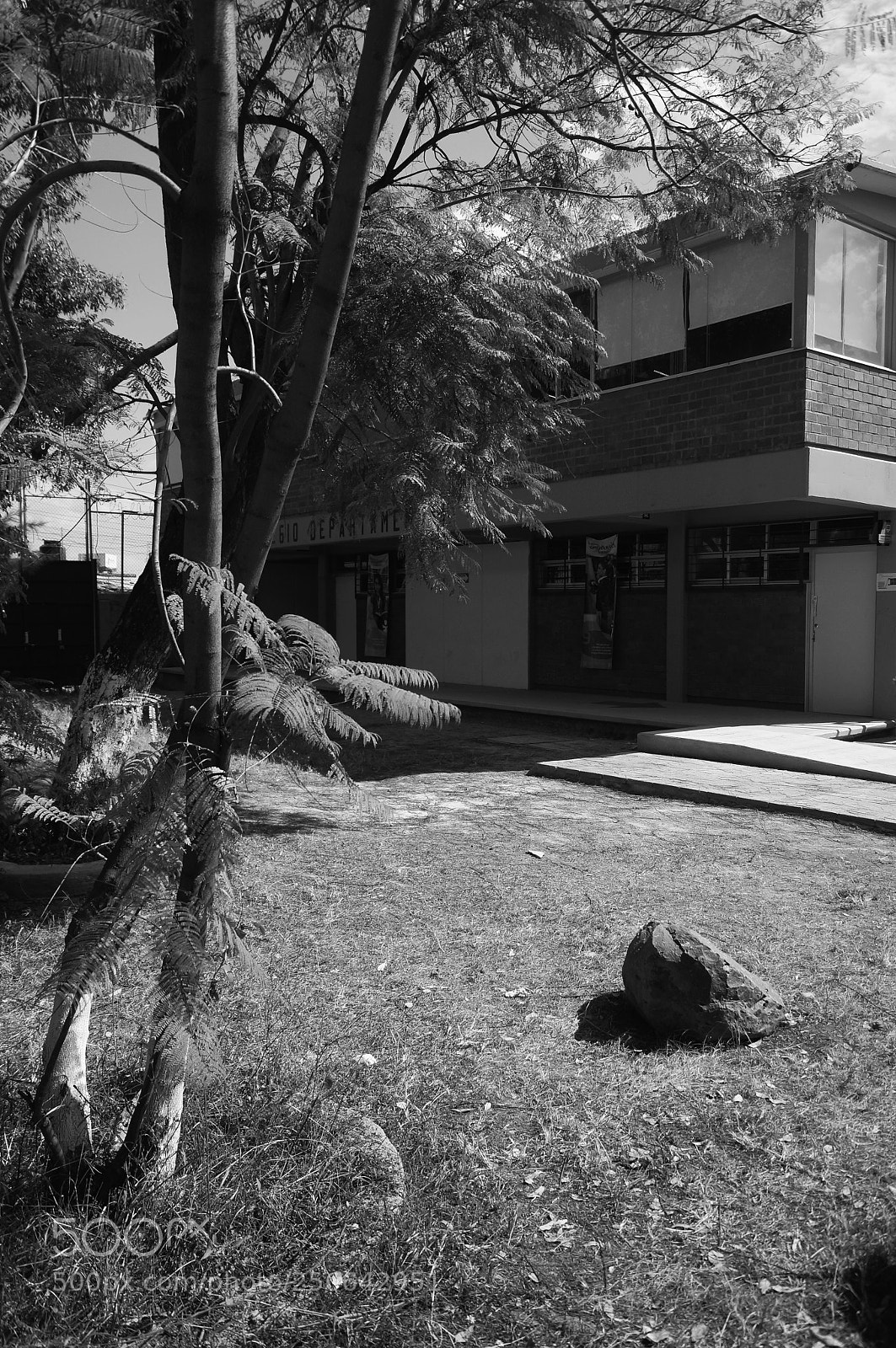Sony SLT-A37 sample photo. I will abandon you photography