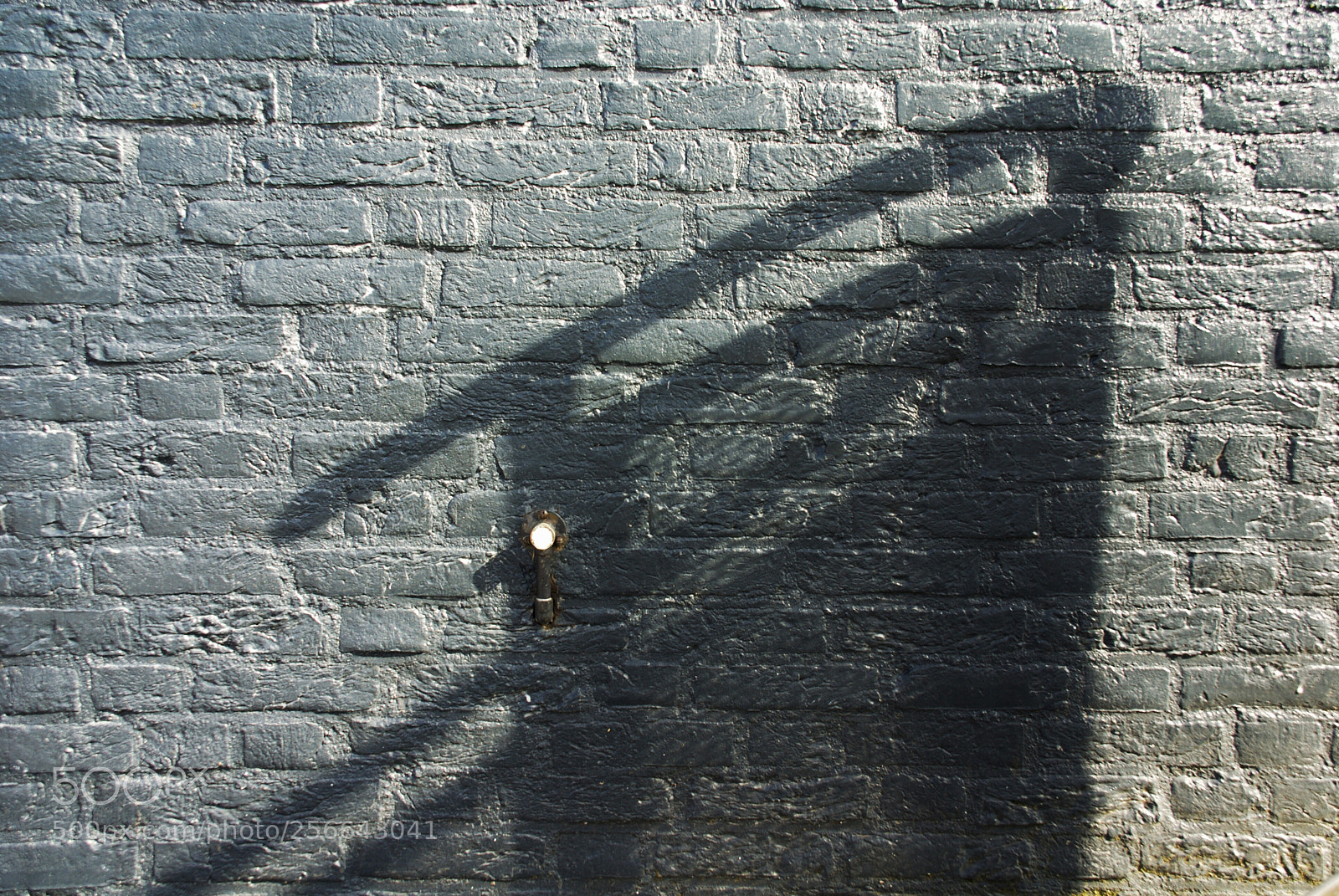 Sony Alpha DSLR-A100 sample photo. Shadow play photography