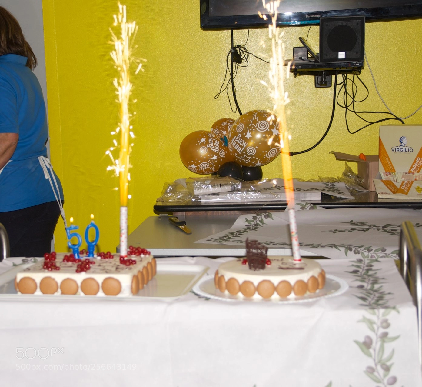 Nikon D60 sample photo. Version photography