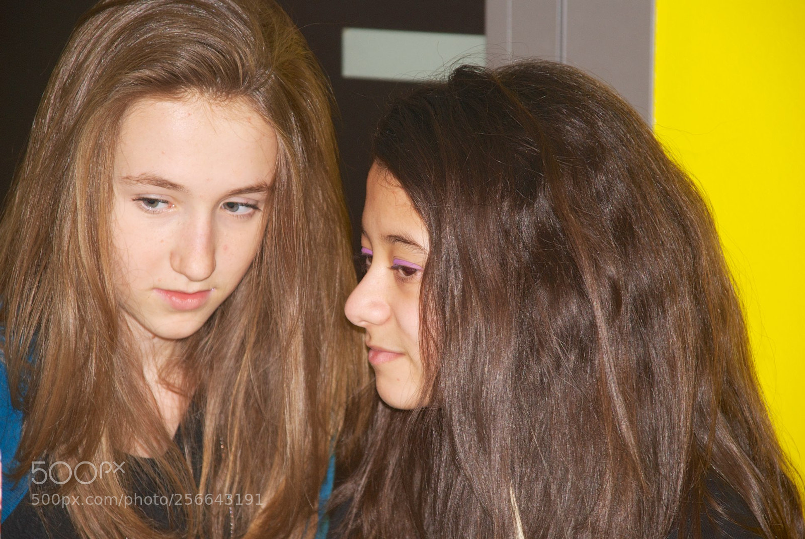 Nikon D60 sample photo. Version photography