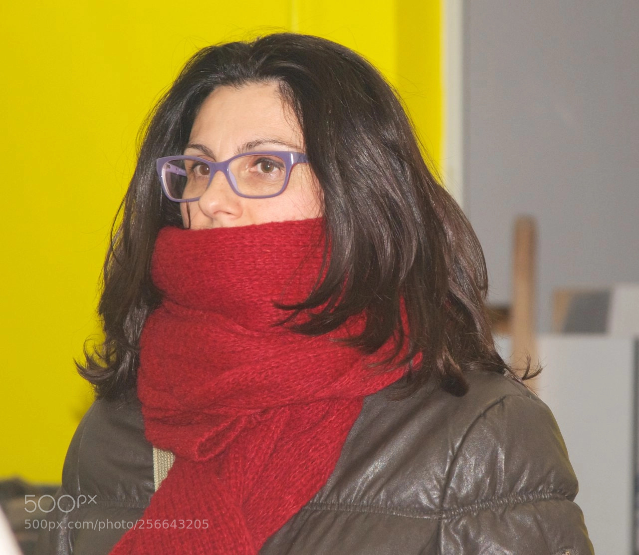 Nikon D60 sample photo. Version photography