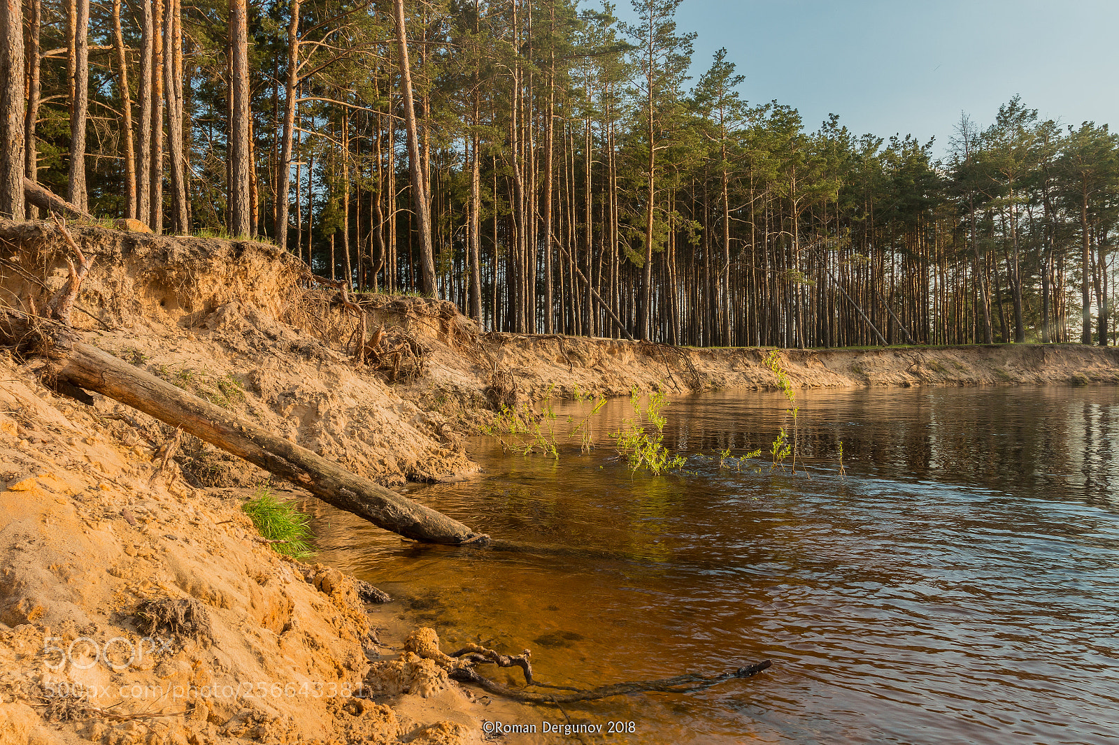 Canon EOS 70D sample photo. River usmanka, voronezh, russia photography
