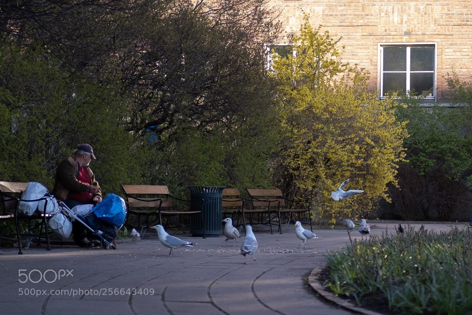 Fujifilm X-T20 sample photo. Untitled photography