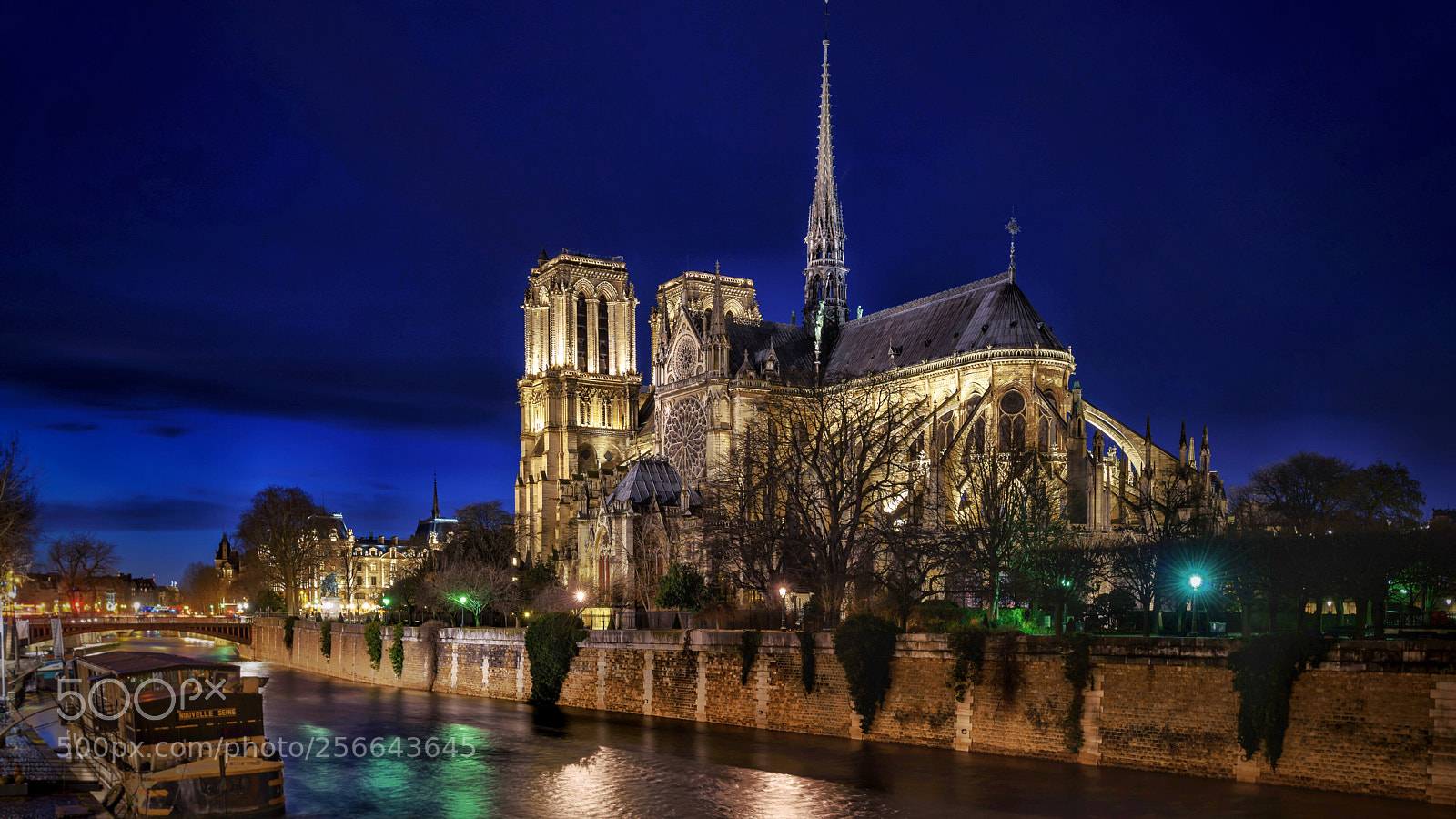 Nikon D750 sample photo. Notre dame photography