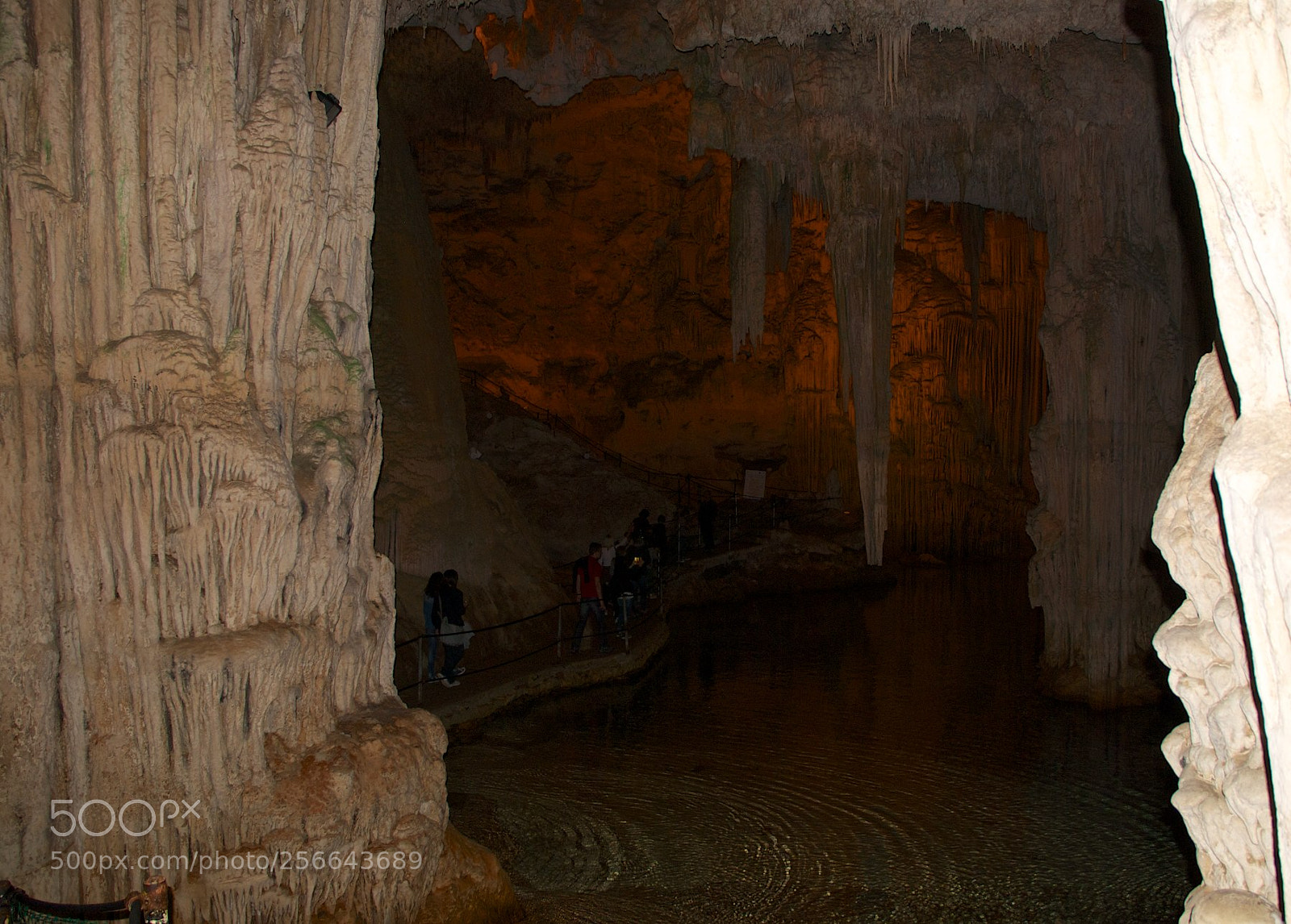 Nikon D60 sample photo. Version photography