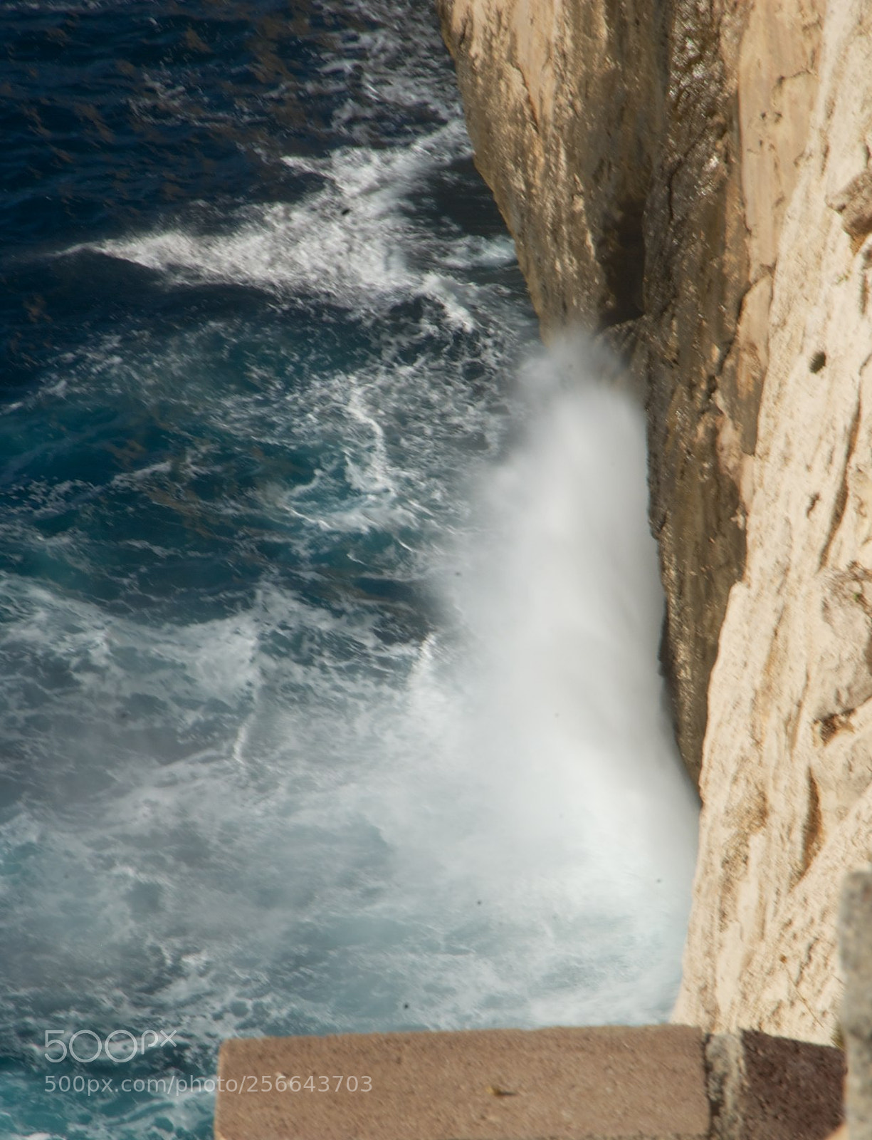 Nikon D60 sample photo. Version photography