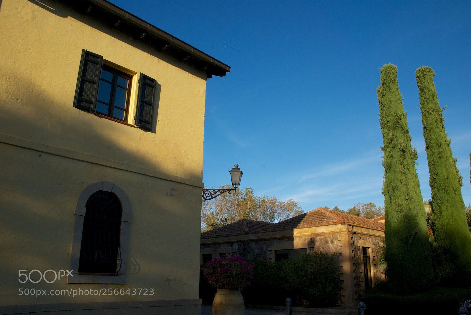 Nikon D60 sample photo. Version photography