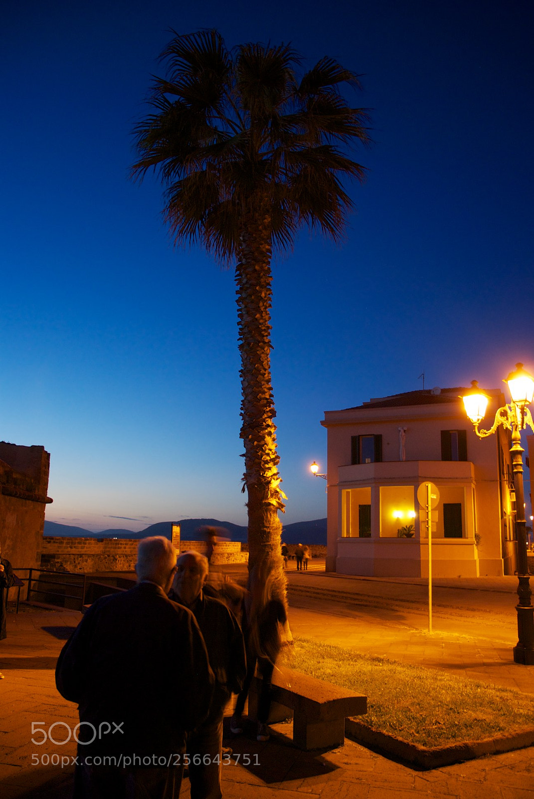 Nikon D60 sample photo. Version photography