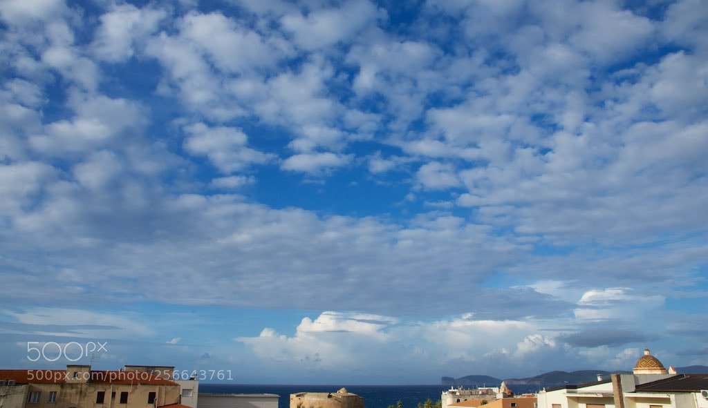 Nikon D60 sample photo. Version photography