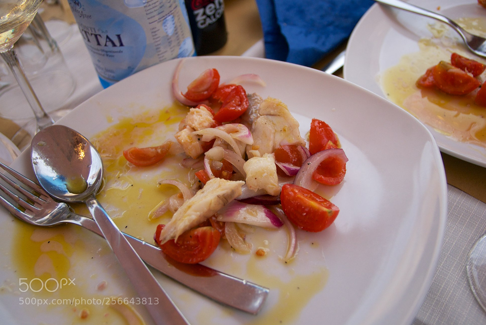 Nikon D60 sample photo. Version photography