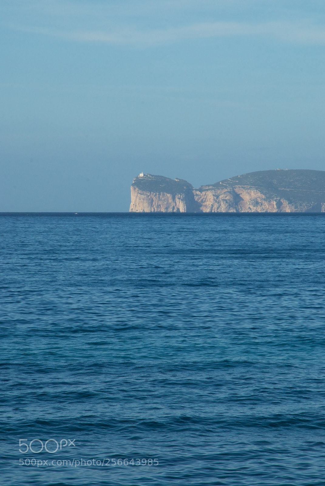 Nikon D60 sample photo. Version photography
