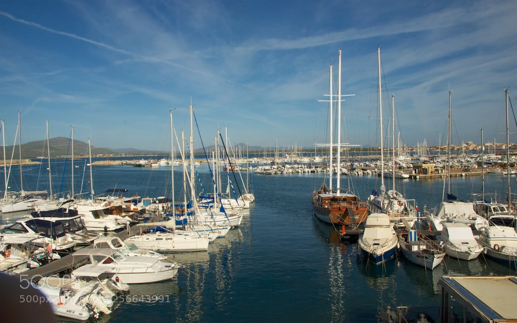 Nikon D60 sample photo. Version photography