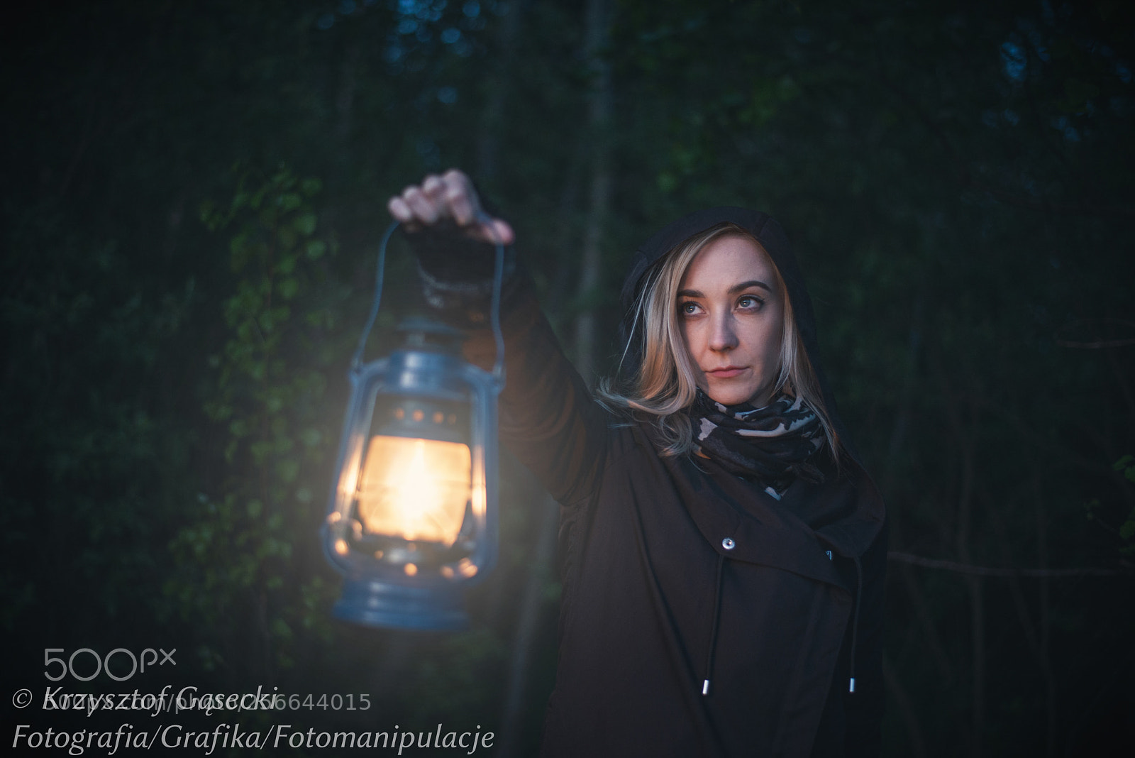 Nikon D600 sample photo. Woman in dark forest photography